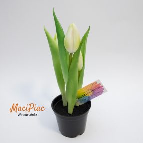   Fehér apró fejó cserepes gumi tulipán virág művirág új!