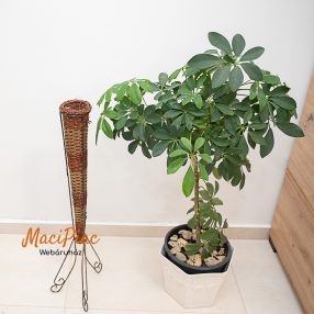   Fém vázas, fonott kosaras virágtartó szőlő inda és levél mintás