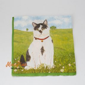   Macska, 4 féle cica mintás szalvéta Ideal Home Range Germany 2 réteg 17x17 cm