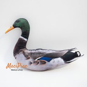   Plüss élethű kacsa, vadkacsa, tőkésréce hím (párna) Új!