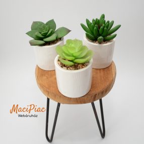   Porcelán kaspóban mini pozsgások élethű mű növények kavicsok között 3 db új!