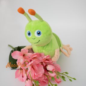   Plüss hernyóból kibújó pillangó, lepke Benny Igazi ritkaság!