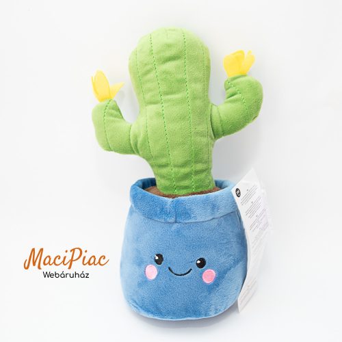 Cserepes plüss növény, virágzó kaktusz Új!