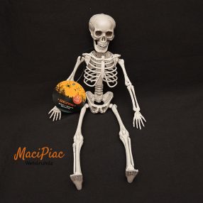   Csontváz őszi, halloweeni dekoráció SAMU (műanyag, forgó végtagok) új!
