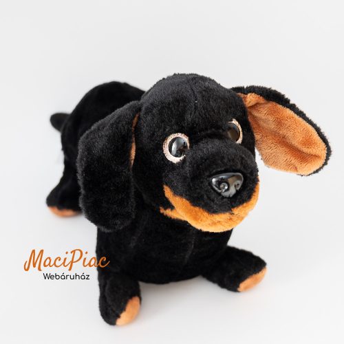 Plüss Penny Fogadj örökbe egy plüsst! 2025 tavaszi kutyák macskák sorozatból Csöpi a csillogó szemű fekete tacskó, tacsi kutya Extra ritkaság!