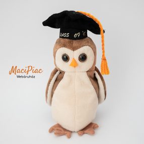   Ty Beanie Babies 1998 Wise plüss ballagási bagoly Ritkaság!