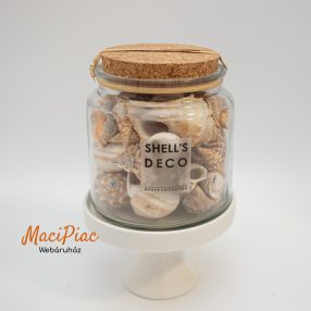   Tengeri kagyló, csigák üres, tisztított parafa dugós üvegben, bontatlan SHELL'DECO beach collection