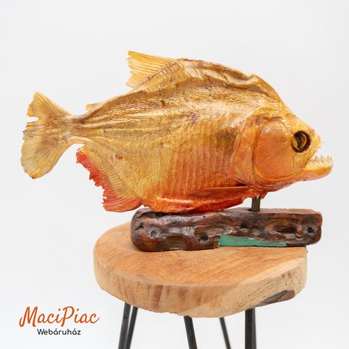 Régi használt preparált piranha (vagy pirája) dekoráció