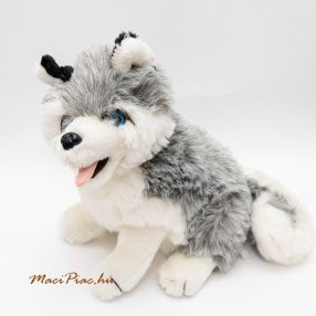   Plüss kutya szibériai husky kölyök lógó nyelvvel  Élethű!