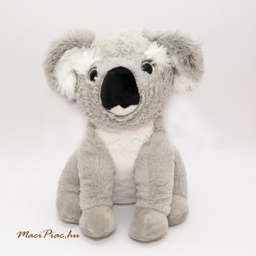 Plüss Koala (Egzotikus plüssök) 2023 Penny Állatkerti állatok csillogó szemű