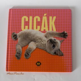 Használt 2007-es Cicák Füzet