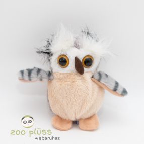 Plüss bagoly, kis bagoly, fióka