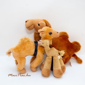 Tevék, púpostevék, lámák, alpakák dromedárok