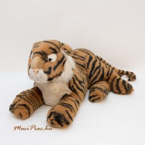 Oroszlánok, tigrisek, párducok, gepárdok, leopárdok, pumák, hiénák, hiúzok