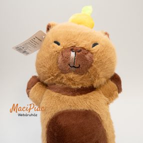 Vízidisznó vagy kapibara