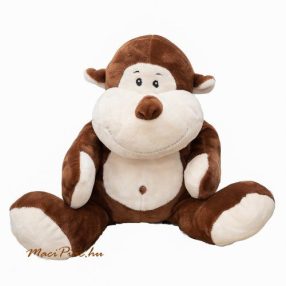 Majmok, orangután, csimpánz, gorilla stb.